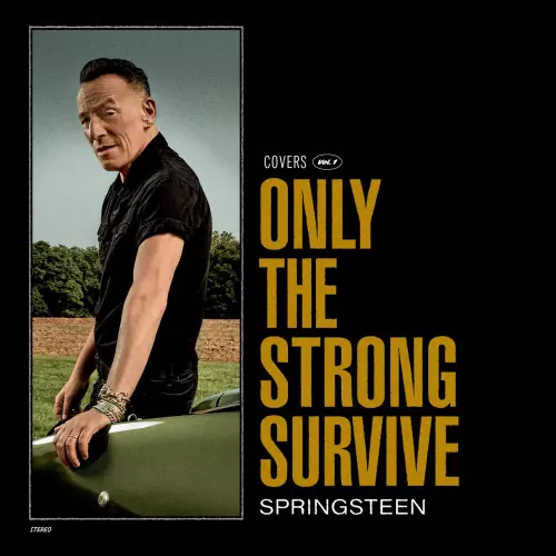 Bruce Springsteen - Only the Strong Survive 320kbps mega ddownload fikper