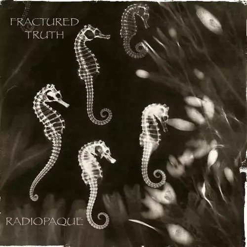 Fractured Truth - Radiopaque 320 kbps mega ddownload