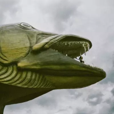 Léna Bartels - The Brightest Silver Fish MP3 320kbps mega ddownload